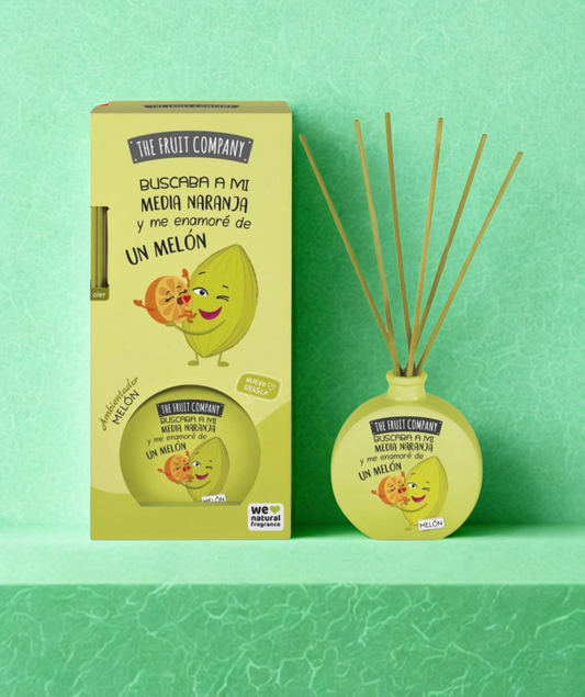 Diffuseur Maison